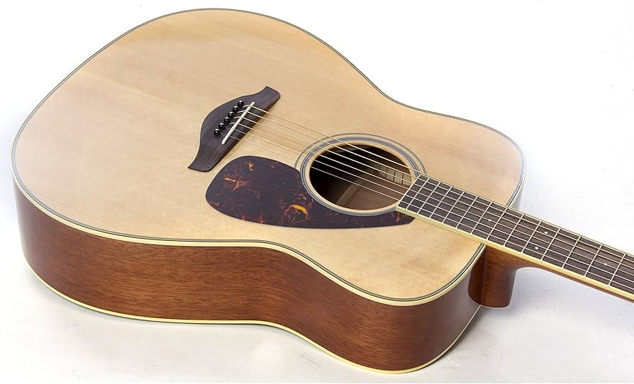 Amazon.co.jp: ヤマハ アコースティックギター FG SERIES FG720S NT