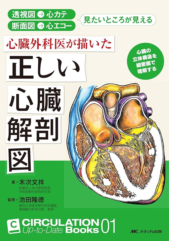 心臓外科医が描いた正しい心臓解剖図: 透視図→心カテ 断面図→心