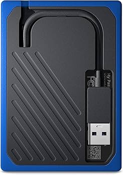 Amazon.co.jp: WD ポータブルSSD 2TB USB3.0 ブルー My Passport Go 外
