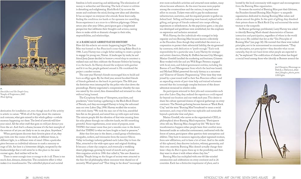 Amazon | Burning Man: Art on Fire: Revised and Updated Edition