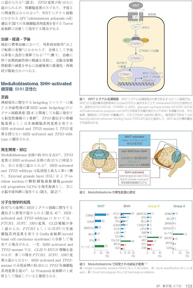 Amazon.co.jp: 脳腫瘍臨床病理カラーアトラス 第4版 : 日本脳腫瘍病理