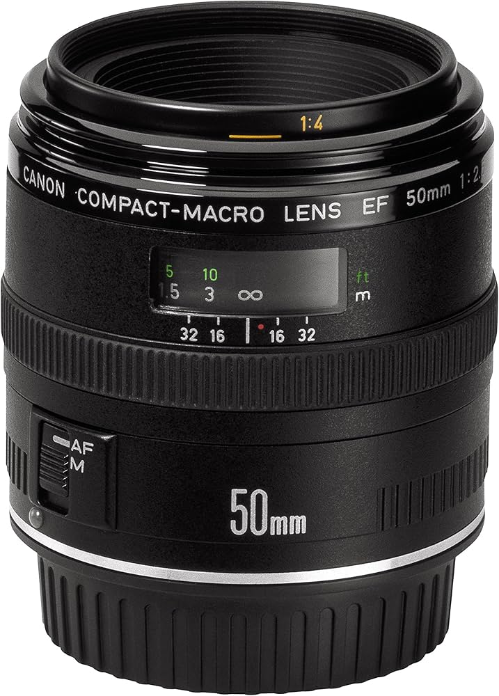 Amazon.com : Canon EF 50mm f/2.5 Compact Macro Lens for SLR DSLR