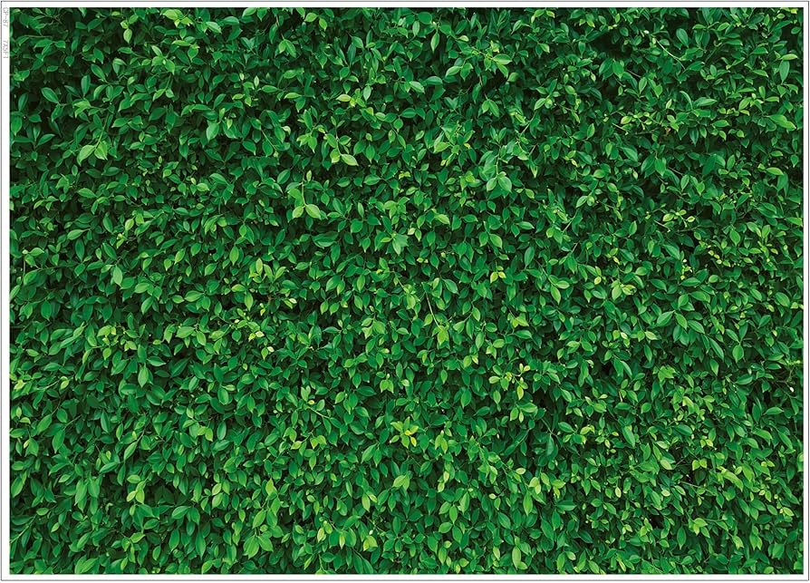Amazon.com : LYWYGG 7x5FT Vinyl Green Leaves Photography Backdrop