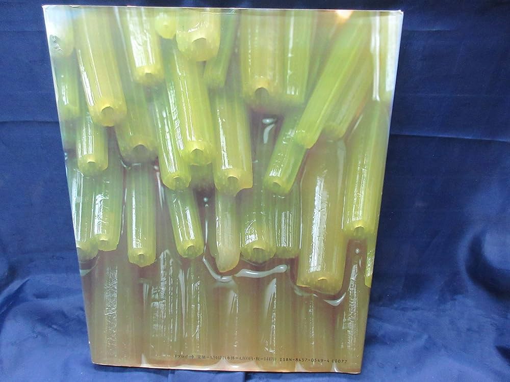 Amazon.co.jp: 百味菜々 : 横山 夫紀子, 秋元 茂: Japanese Books