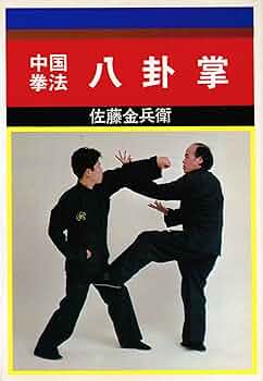 91zk1+2ZmqL._AC_UF350,