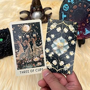 Amazon.co.jp: DPEHAKMK タロットデッキ ユニーク 78枚のフローラル