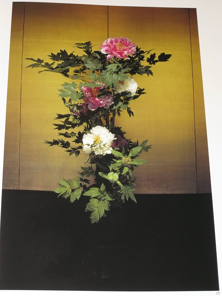 川瀬敏郎のいけばな集 | 川瀬敏郎 |本 | 通販 | Amazon