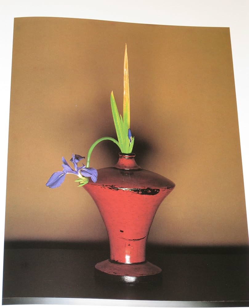 川瀬敏郎のいけばな集 | 川瀬敏郎 |本 | 通販 | Amazon