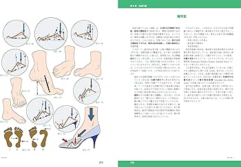 カラー版カパンジー機能解剖学 全3巻原著第6版I上肢 II下肢 III脊椎