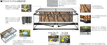 Amazon | エキゾテラ GEX EXOTERRA グラステラリウム6030 PT2604