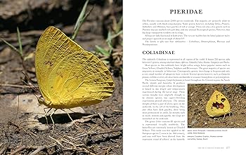 Butterflies of the World: Hoskins, Adrian: 9781921517334: Amazon