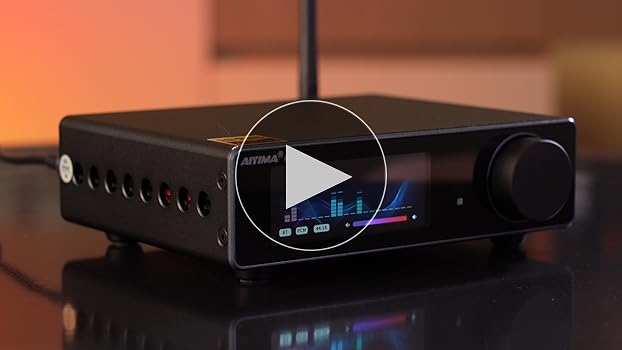 Amazon.co.jp: AIYIMA A80 [Updated Version] TPA3255 Decoding