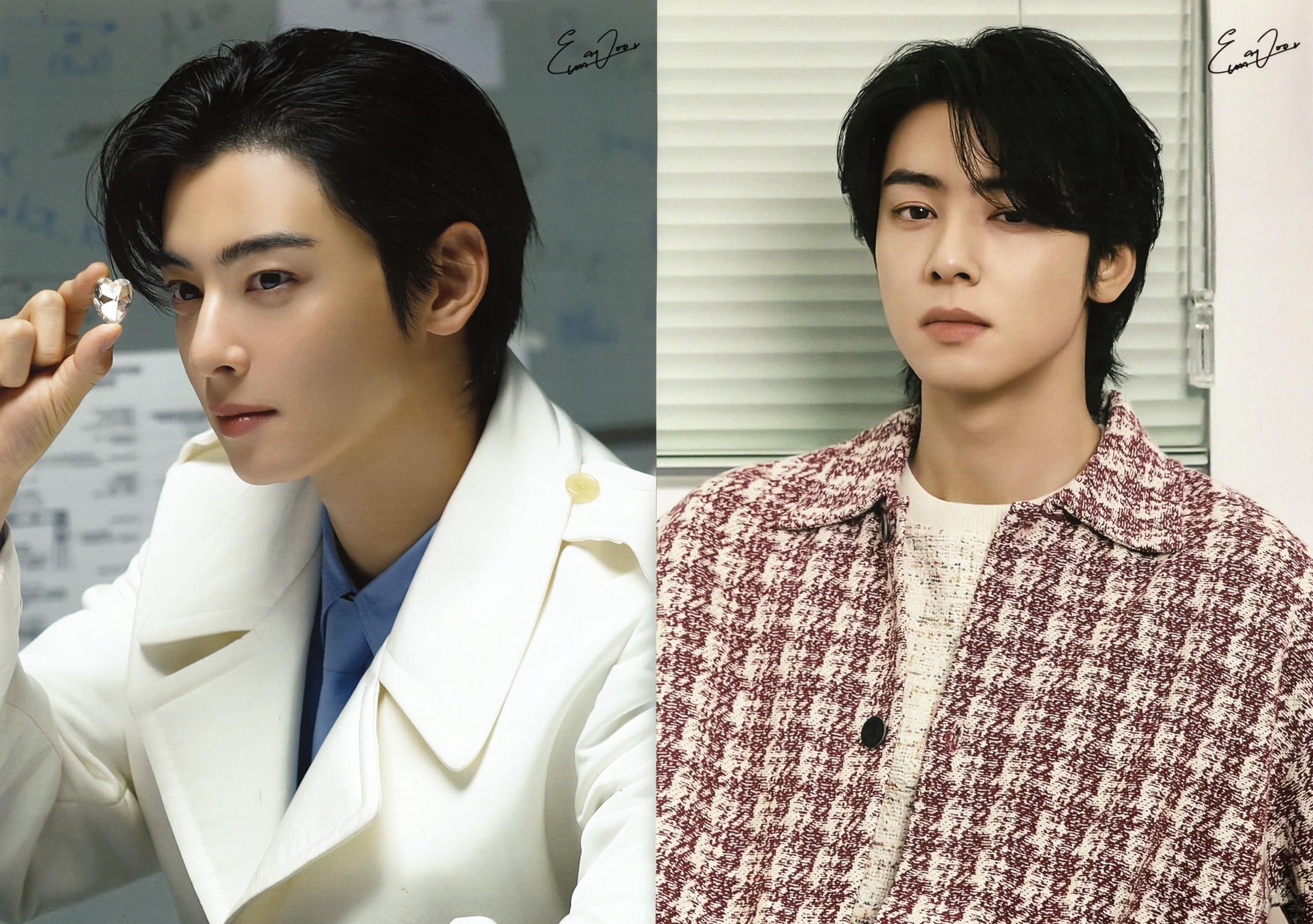 Amazon.co.jp: チャウヌ グッズ ポスター 10枚セット A4サイズ 10P