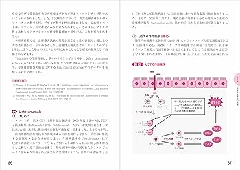 最適治療を極める! 潰瘍性大腸炎 改訂第2版 | 仲瀬 裕志 |本 | 通販