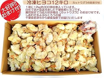 Amazon | フクロウ・タカ・ハヤブサ等の餌 冷凍ヒヨコ12Kg 約300羽入り