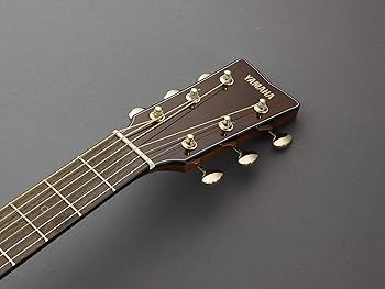 Yamaha Storia III Acoustic Guitar, Chocolate Brown : Amazon.ca