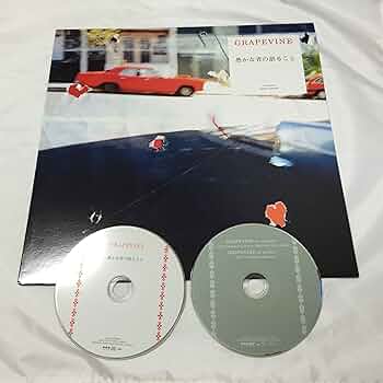 Amazon.co.jp: 愚かな者の語ること(アナログ盤LPレコード・ジャケット