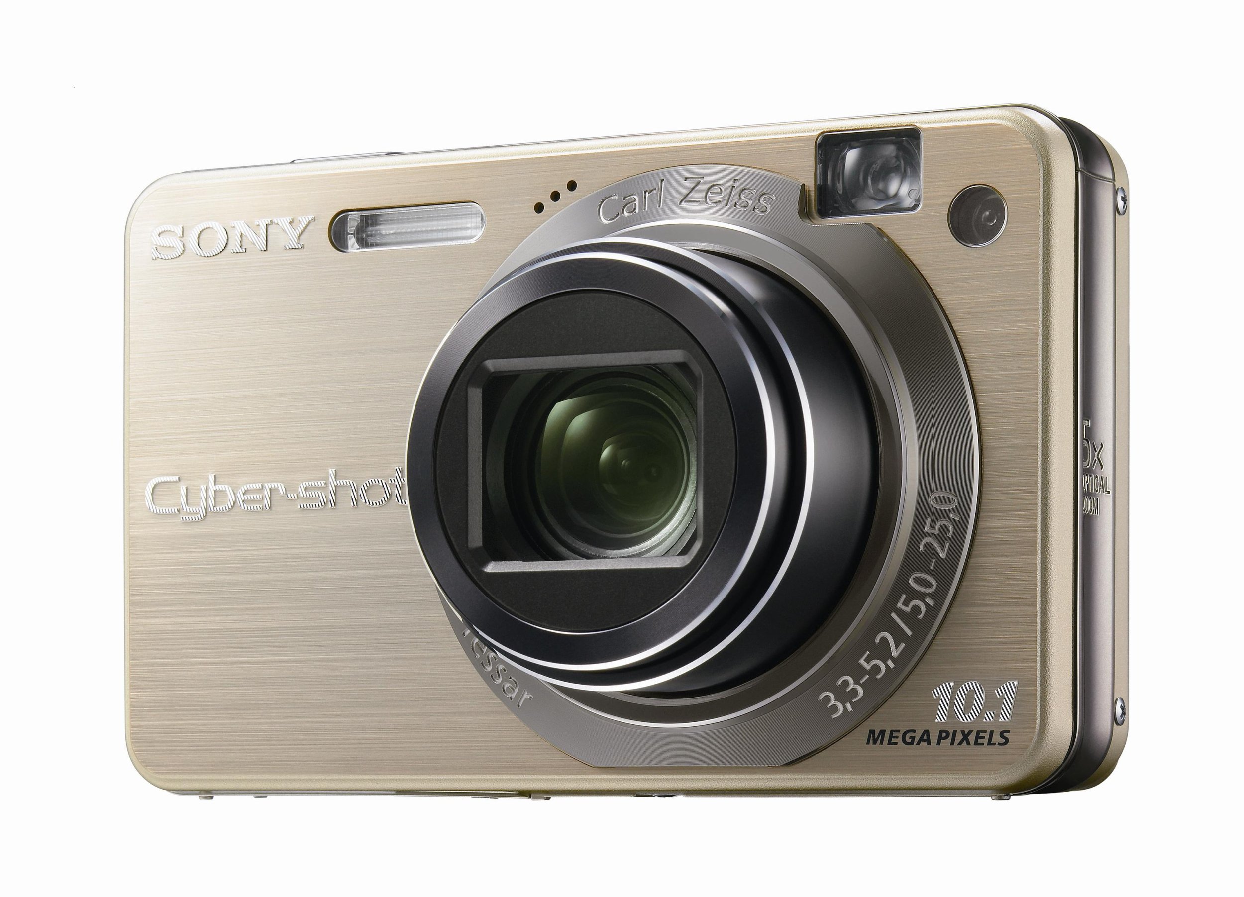 Amazon.com : Sony Cybershot DSCW170/G 10.1MP Digital Camera with