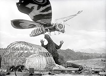 Amazon.co.jp: 『モスラ対ゴジラ』4Kリマスター [Blu-ray] : 本多猪