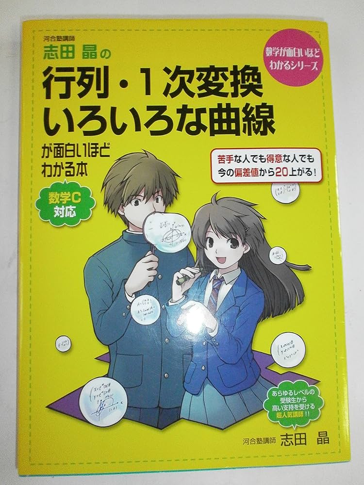 91C-79hmYKL._AC_UF1000,