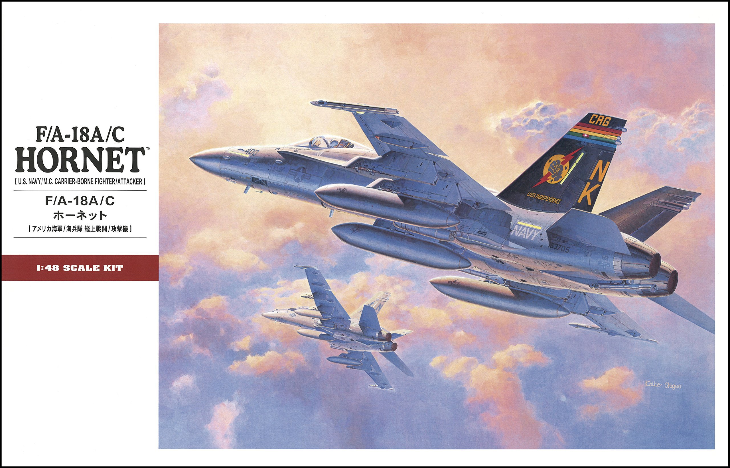 Hasegawa 1:48 - F/A-18A/C Hornet - H-PT50 : Amazon.ca: Toys & Games
