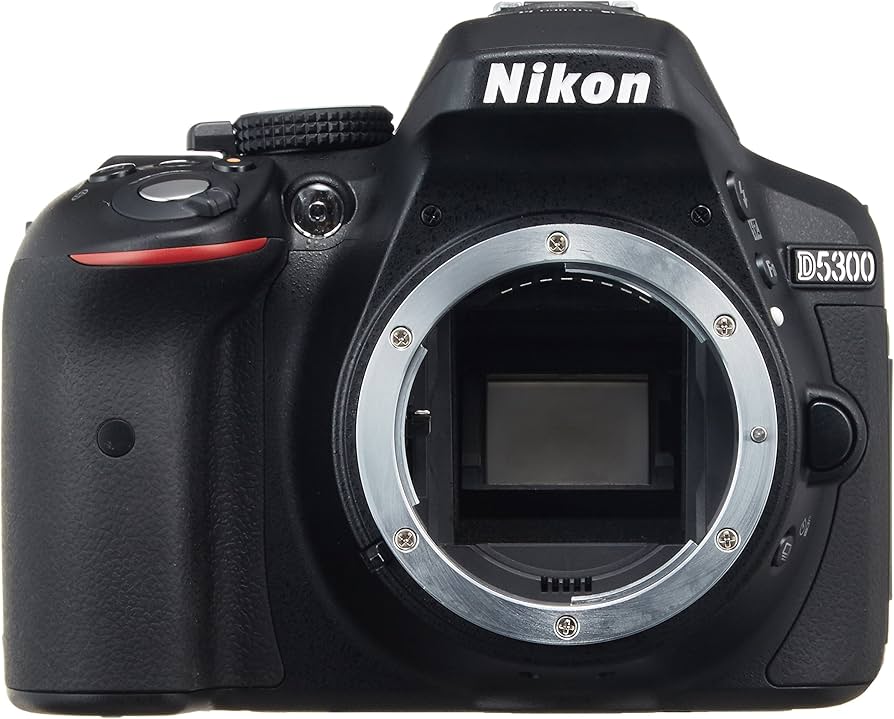 Amazon.com : Nikon D5300 24.2 MP CMOS Digital SLR Camera with