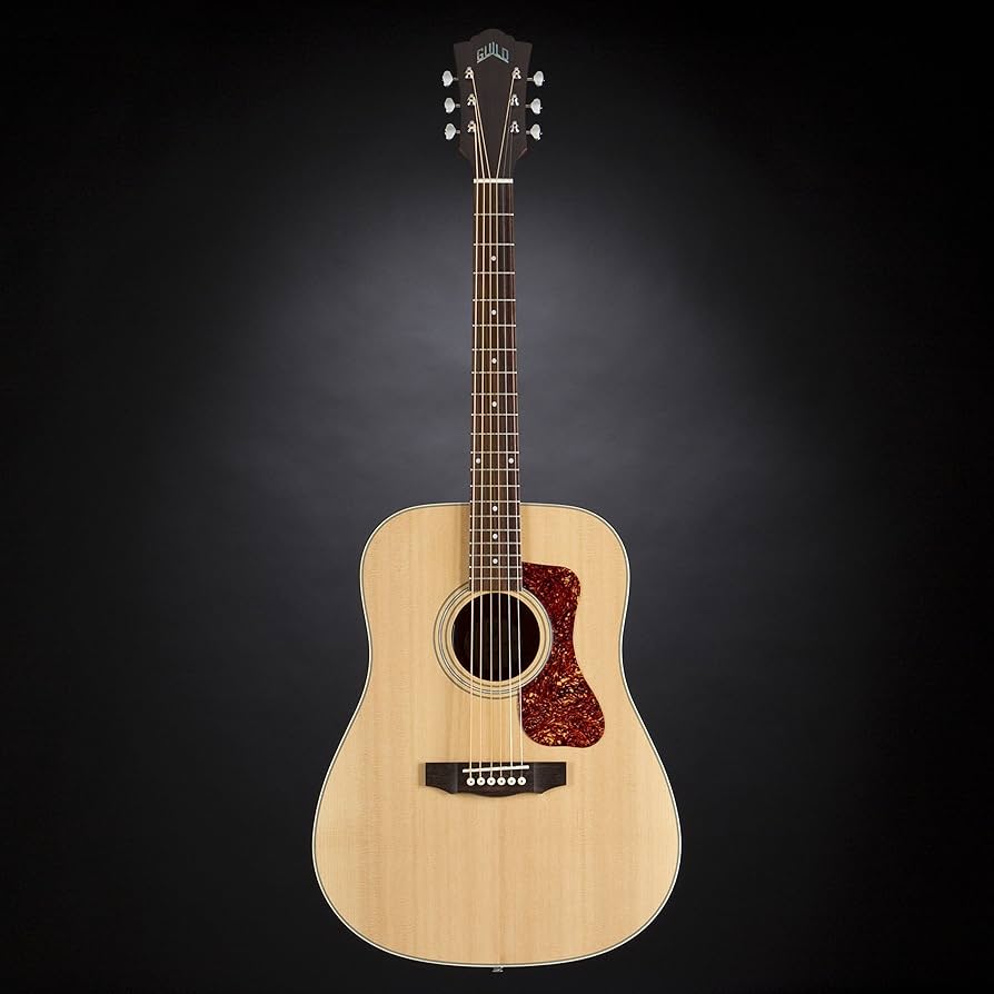 Amazon.co.jp: GUILD (ギルドギター) エレアコギター アーチバック