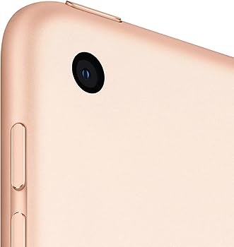 Amazon.com : Apple iPad (10.2-inch, Wi-Fi + Cellular, 32GB) - Gold