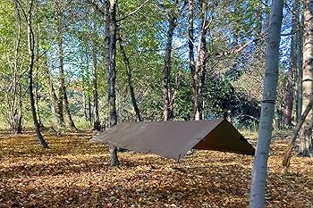 Amazon | DD Hammocks DD タープ S (コヨーテブラウン）日本正規品