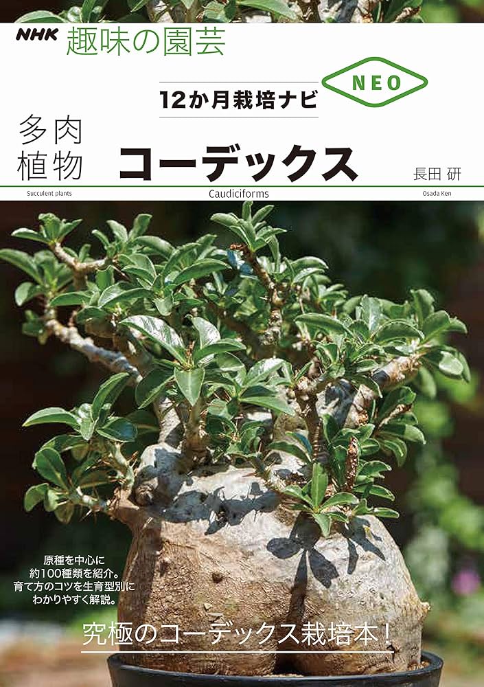 コーデックス (NHK趣味の園芸 12か月栽培ナビNEO) | 長田 研 |本