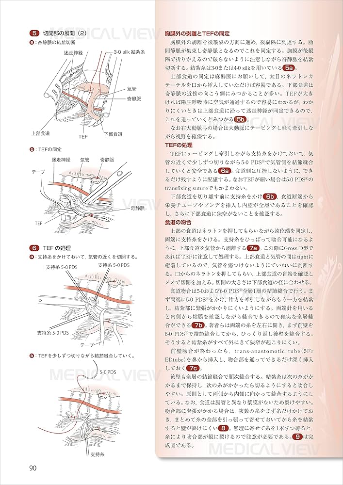 スタンダード小児外科手術 | 猪股 裕紀洋 |本 | 通販 | Amazon