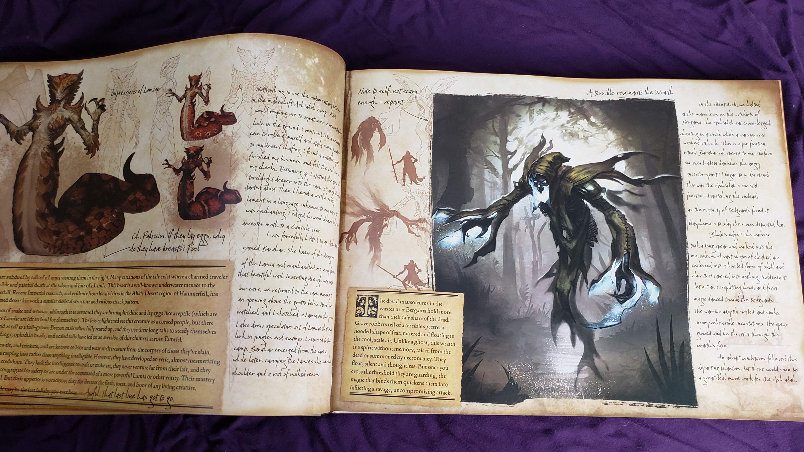 Amazon.com: Elder Scrolls Online Art Book - Emperor's Guide to