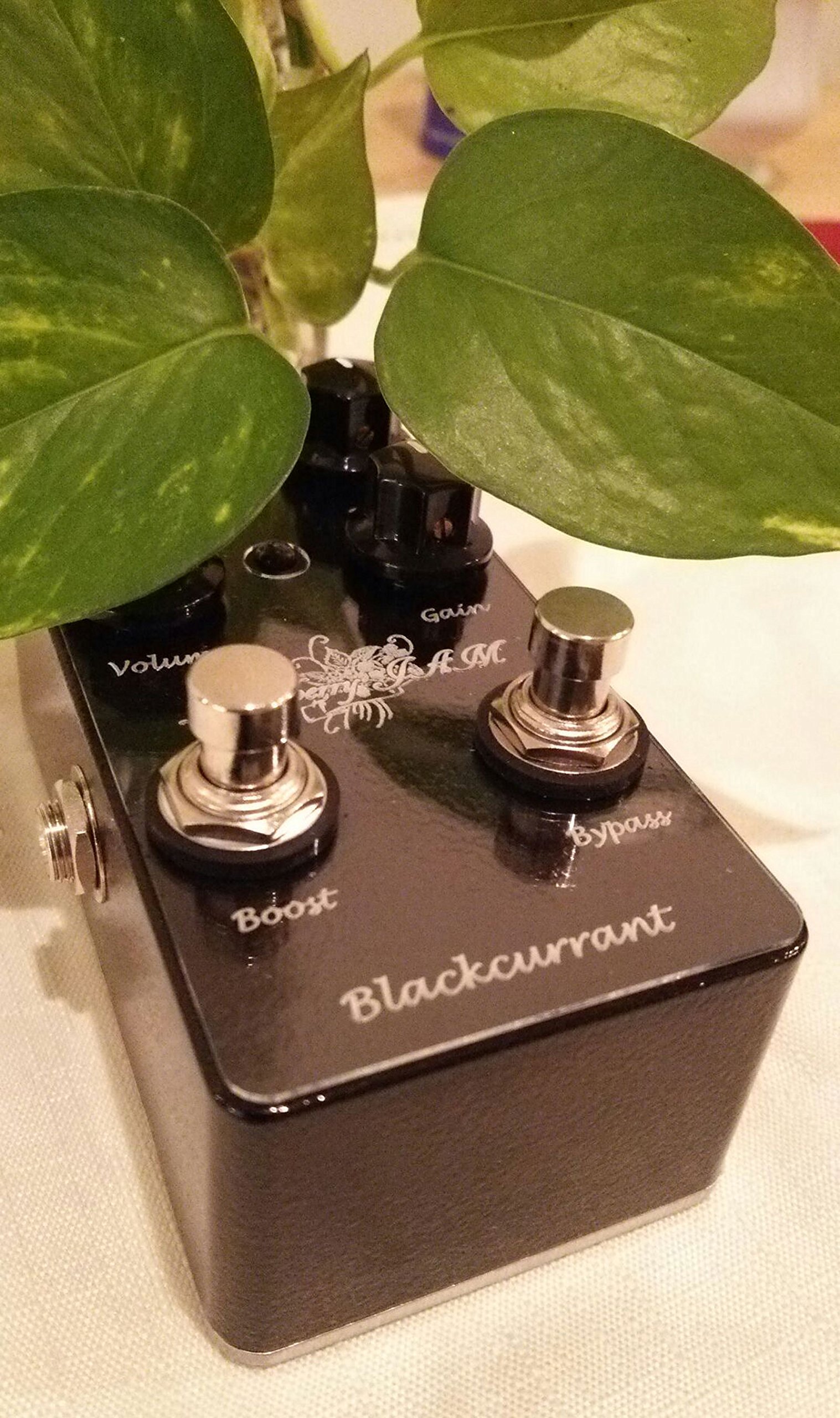 Amazon | Blackberry JAM 日本製 オリジナル ペダル Blackcurrant