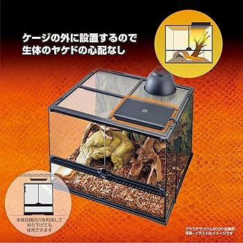 Amazon | EXO TERRA (エキゾテラ) ヒーティングトップ M 爬虫類