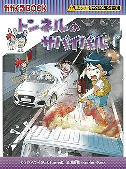 91h6rqvqayL._AC_UF350,