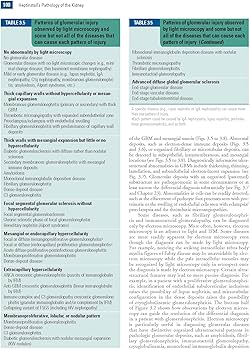 Amazon | Heptinstall's Pathology of the Kidney | Jennette MD, J