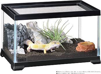 Amazon | EXO TERRA エキゾテラ レプテリアブラック 300Low 小型爬虫類