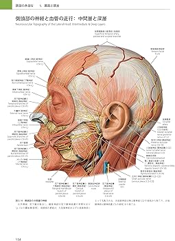 91hoMtnJLOL._AC_UF350,