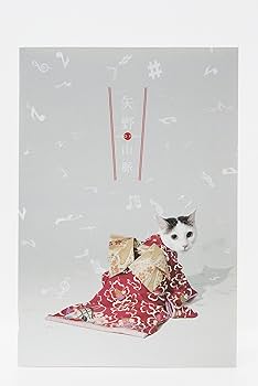 Amazon.co.jp: 矢野山脈 (完全生産限定盤): ミュージック