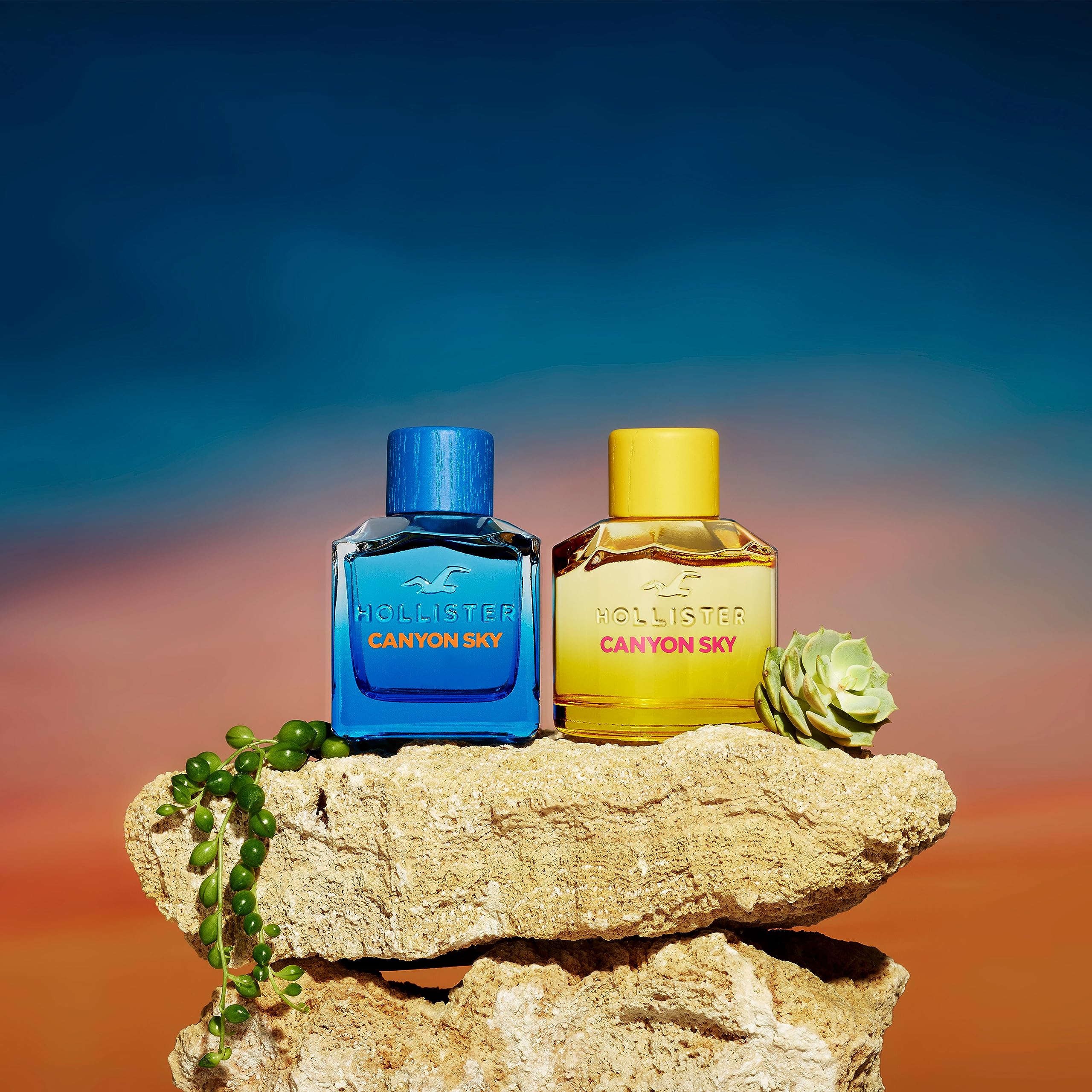 Amazon.com : Canyon Sky by Hollister for Men - 3.4 oz EDT Spray