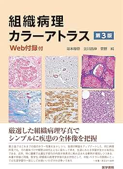 91q6h1+IFVS._AC_UF350,