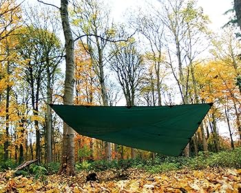 Amazon.com : DD Hammocks - DD Tarp 4x4 - Olive Green: 13ft x 13ft