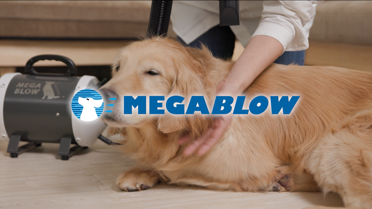 Amazon.co.jp: プロ愛用 発売13年 中型犬 大型犬 業務用に 犬