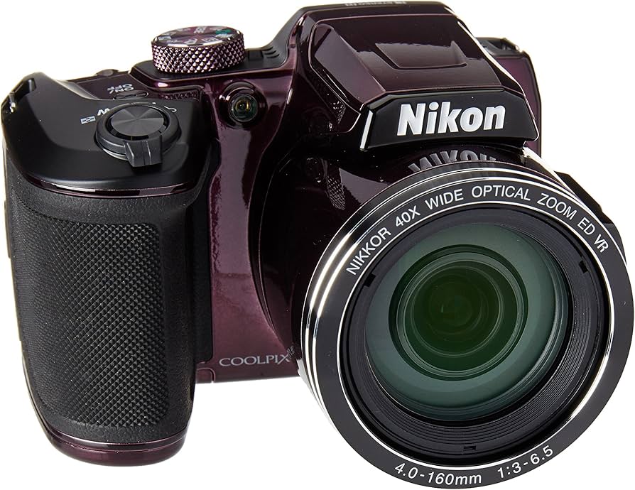 Amazon.com : Nikon - COOLPIX B500 16.0-Megapixel Digital Camera
