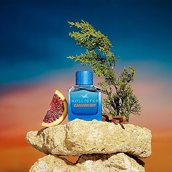 Amazon.com : Canyon Sky by Hollister for Men - 3.4 oz EDT Spray