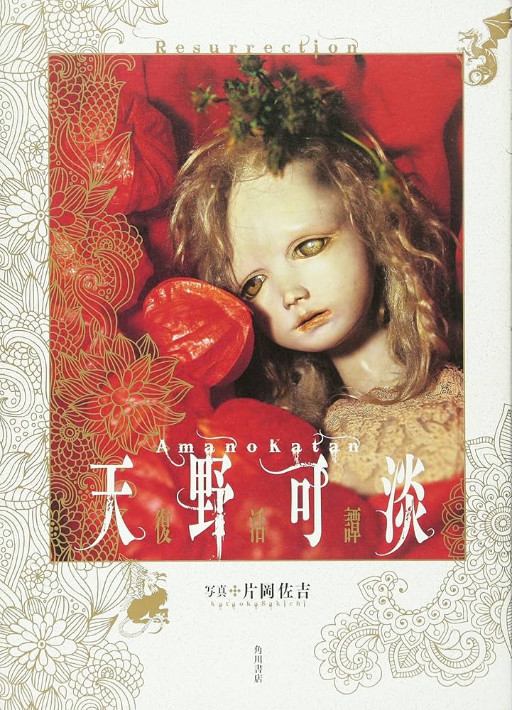 Amazon.co.jp: 天野可淡 復活譚 : 片岡 佐吉: 本