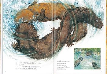 91abLL9VauL._AC_UF350,