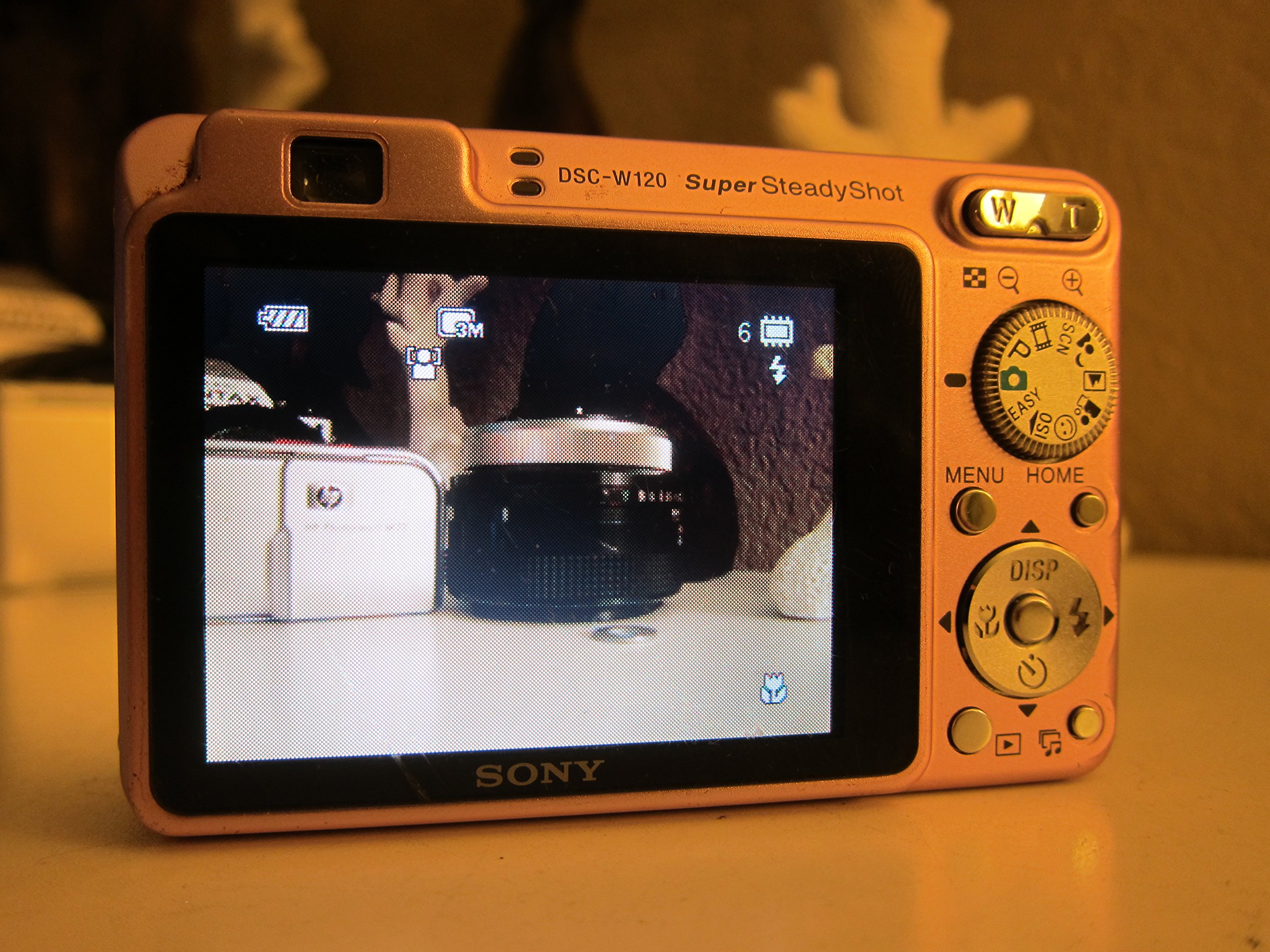 Amazon.com : Sony Cybershot DSCW120/P 7.2MP Digital Camera with 4x