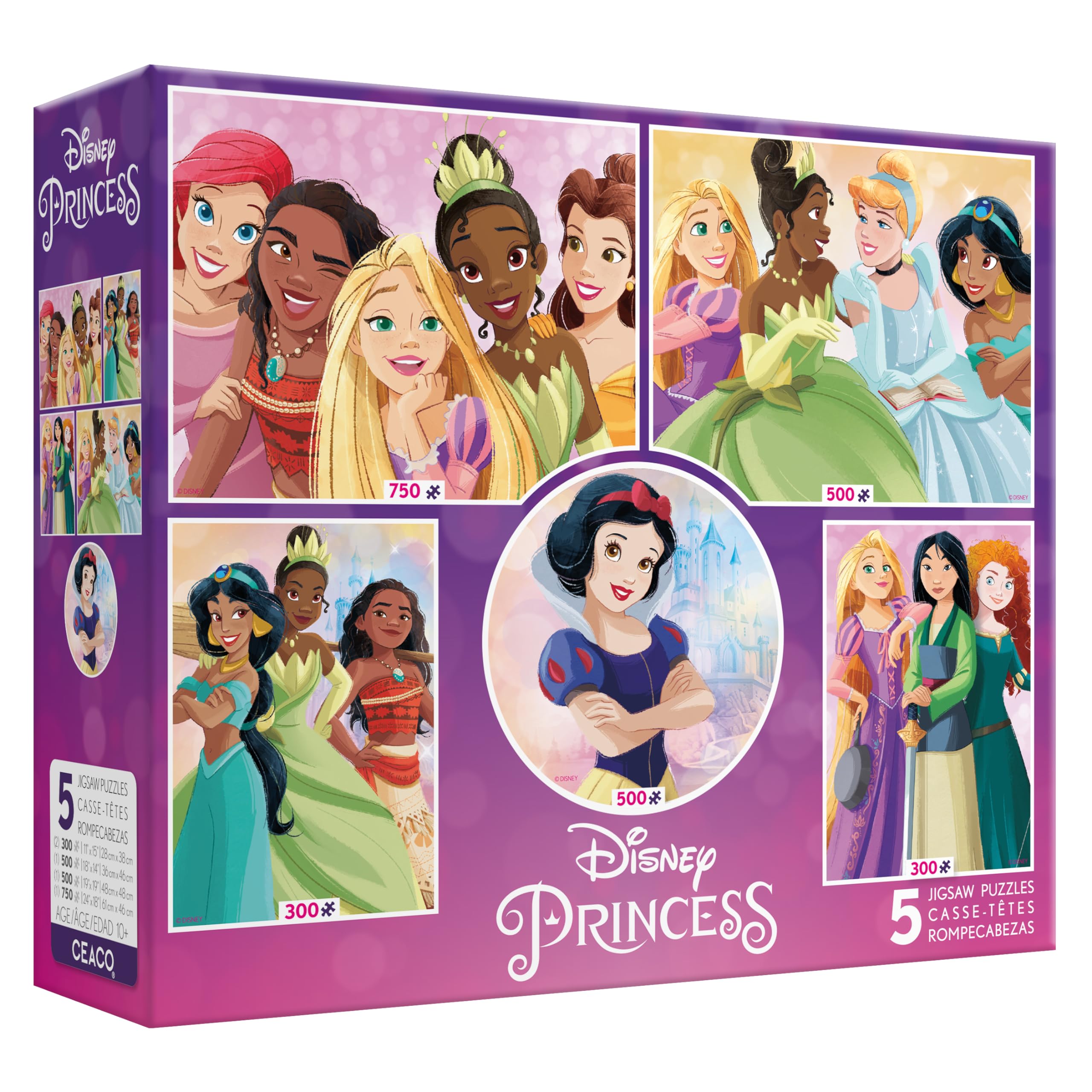 Amazon.com: Ceaco - 5 in 1 Multipack - Disney Princess - (2) 300