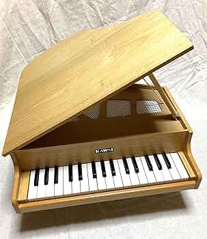 91eMMmeZeRL._AC_UF350,